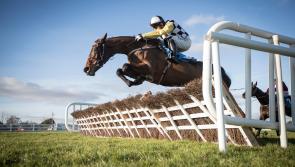 Horse Racing: Naas win leaves Next Destination in festival mood