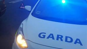 Renewed garda appeal  over fatal road collision in South Kilkenny