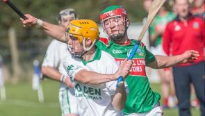 Kilkenny hurling: Richie Reid available for Cork game despite seeing red