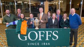 Courtesy buses running to Gowran Park from 11am in Kilkenny City this morning