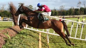 Thyestes Chase champion Monbeg Notorious eyes up big prize at Punchestown