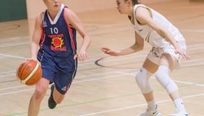 Basketball: Kilkenny's finest Marble City Hawks go to the Super League