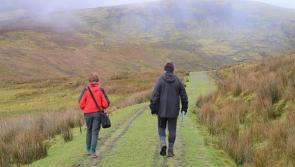 Just 10% of Irish people live within 15 minute walk of key amenities, says report