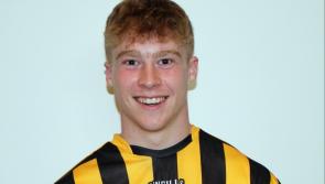 Kilkenny hurling: good win over Waterford opens up League for Cats