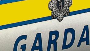 Pensioner burgled in his bedroom in Borris