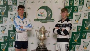Leinster college hurling final: St Kieran's college and Dublin North ready to let rip