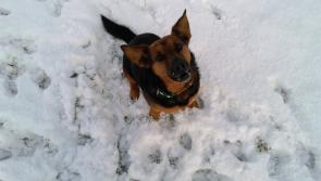 5KM #SNOW PHOTO CALL! We want your snowy Kilkenny photos #sneachta