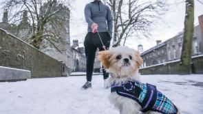 Public amenities and offices to close for next two days in Kilkenny