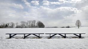 Update:  Kilkenny versus  Wexford game is off