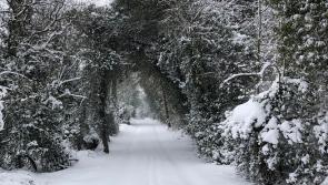 Kilkenny Mart is winding down for the year