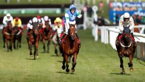 Tipperary punter cleans up at Cheltenham with &euro;10,000 scoop