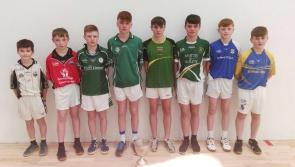 Kilkenny handball: players enjoy their golden moments