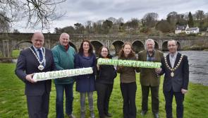 Kilkenny and South East tackle roadside litter

