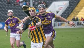 Kilkenny hurling: five likely lads for Cody's championship team