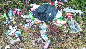 Over 100 bags of rubbish removed from side of Kilkenny road 
