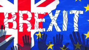 BREXIT: What are the implications for Kilkenny veterinarians?