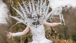 Two days left to vote for Castlecomer school's Junk Kouture project