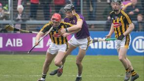 Enda McEvoy: Regardless of the final result, the Allianz Hurling League has delivered a bountiful crop for Kilkenny