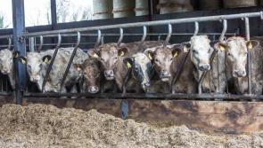 Column: Farmers are the latest victims of ongoing bouts of extreme weather