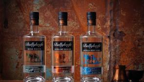 Ballykeefe gin, vodka and poitin  made in Kilkenny now on sale -  Whiskey on the way in 2020