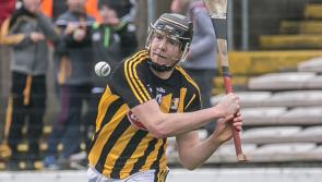 Kilkenny in dark, but Dublin have idea of shape of Cats team
