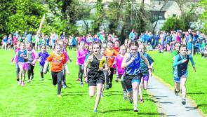 Athletics: Impressive Kilkenny students power to schools success in Leinster and Munster