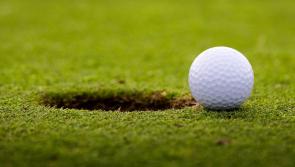 Gowran Park is set to host golf classic for Kilkenny hurlers fundraiser