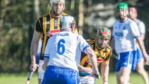 Picture Gallery: Check out Kilkenny and Waterford hurling legends who lined out for local charities in Kilmacow