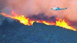 Alert: Forest fire warning in place for rural Kilkenny 