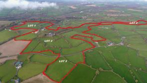 BREAKING - Magnificent Kilkenny farm to be sold at auction