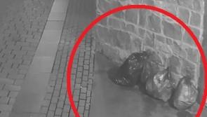 Kilkenny CCTV crackdown sees five people caught and fined for illegal dumping 