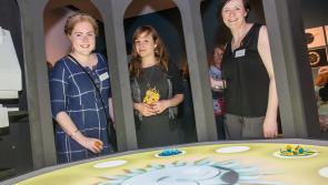 KILKENNY - Explore the bread and butter of animated film making at Butler Gallery in Kilkenny Castle