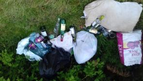 Bags of glass bottles and cans tossed out on Kilkenny's Callan Road