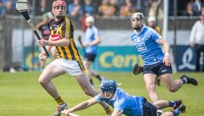 Grafting Cats made their own luck, Brian Cody insisted