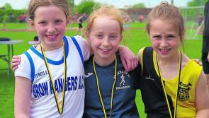 Stars galore at second day of Kilkenny county athletics championships