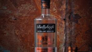 Kilkenny made gin wins bronze at world spirits championships