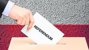 Last minute surge pushes Kilkenny referendum turnout over 30%