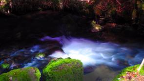 Magical photographic exhibition for MacDonagh Junction, Kilkenny