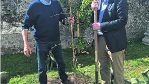 Newly created garden in Durrow receives visit from Minister for Foreign Affairs, Charlie Flanagan