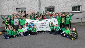Kilkenny students go Green on the journey to school
