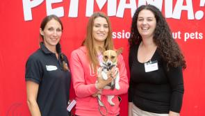 Lilly is Kilkenny's puppy of the year winner