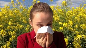 Kilkenny hayfever alert: Pollen count set to soar in the heat