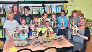Cruinniú na nÓg a huge success in Kilkenny