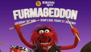 Fundraiser at Ryan's in aid of animal welfare charity