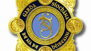 Breaking: Arrests made, significant drugs seizure in Kilkenny 