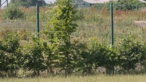 Patience exhausted with Kilkenny halting site, as clean-up agreed despite ongoing chaos