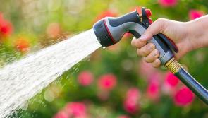 Keep Kilkenny Beautiful awards cancel Private Gardens section due to dry weather 