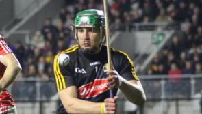 Cats roar out a message of defiance in drawn Leinster final