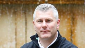 Cork great Diarmuid O'Sullivan backs Limerick to beat Kilkenny