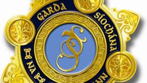 Kilkenny gardaí warn people to 'light up and lock up your homes'